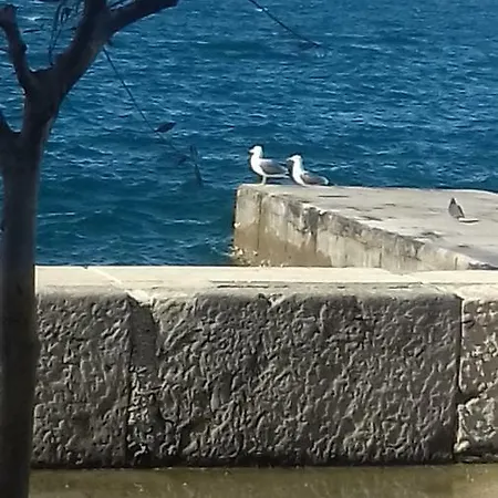 Galeria Bf Appartement Piran